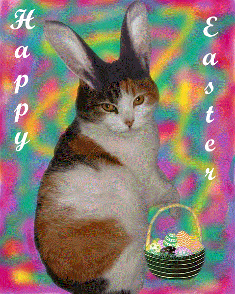 {#Easter-Kitty-Large.gif}